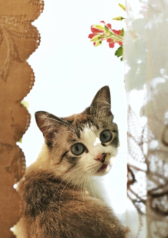 Photograph by Вячеслав Бондаренко