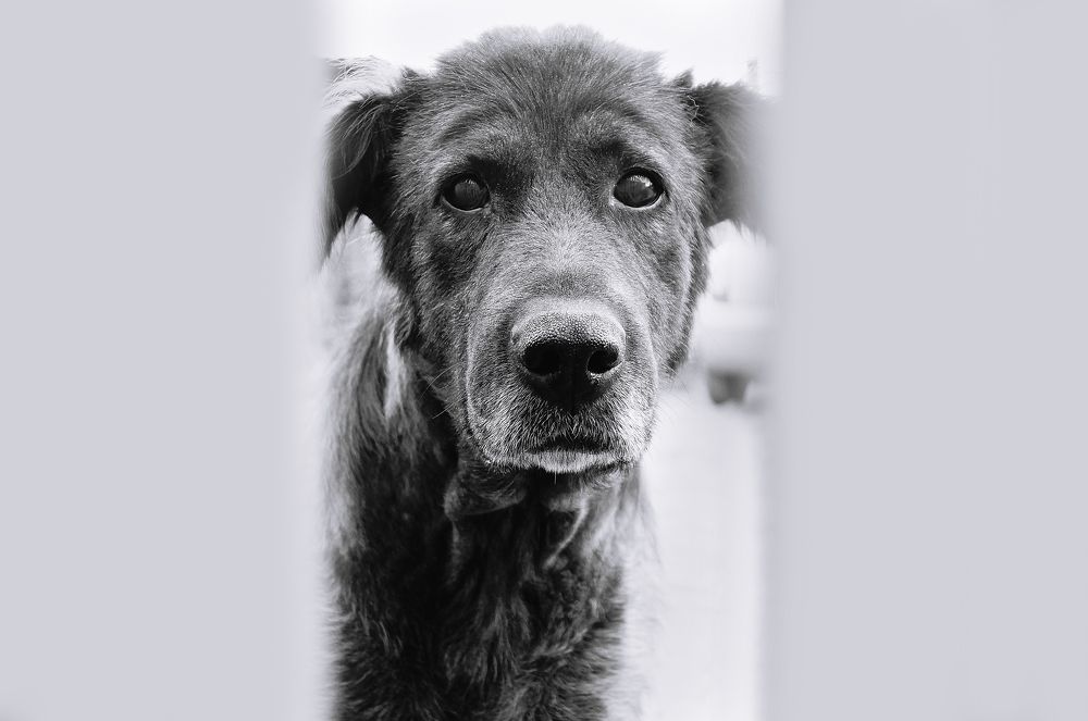 Затронуть душу