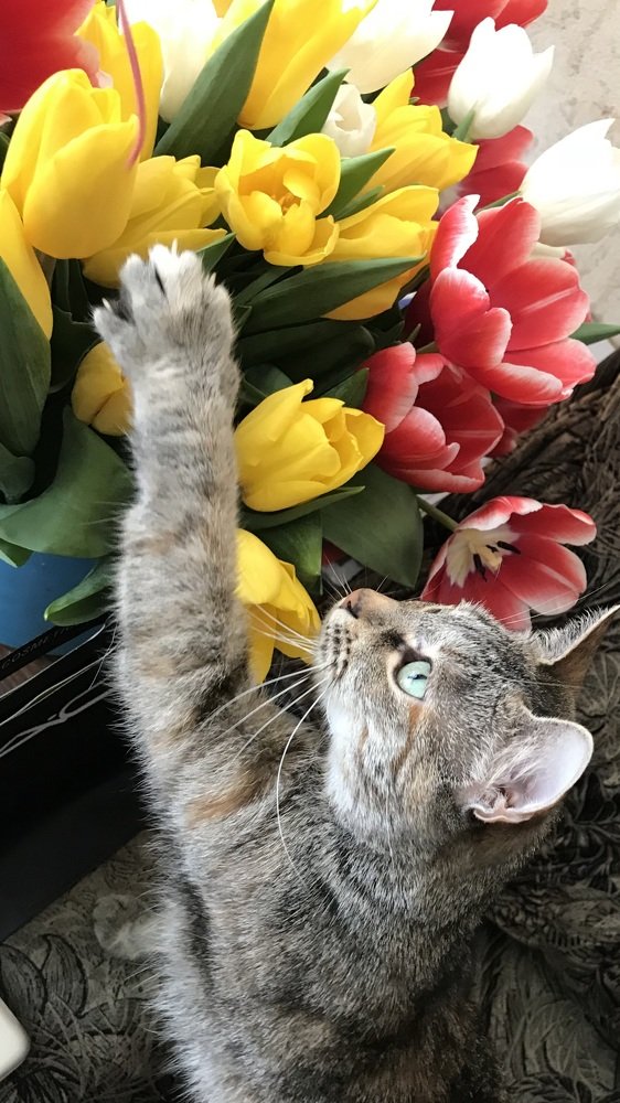 Photograph by Яна Лугинина