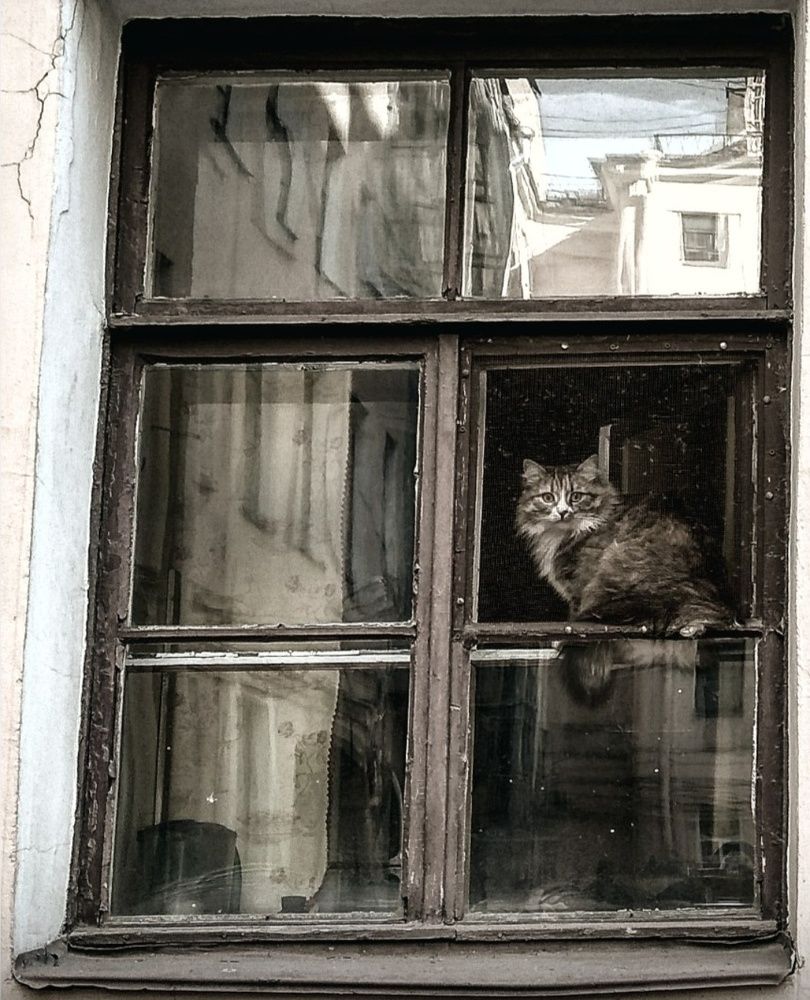 Photograph by Марина Хохрякова