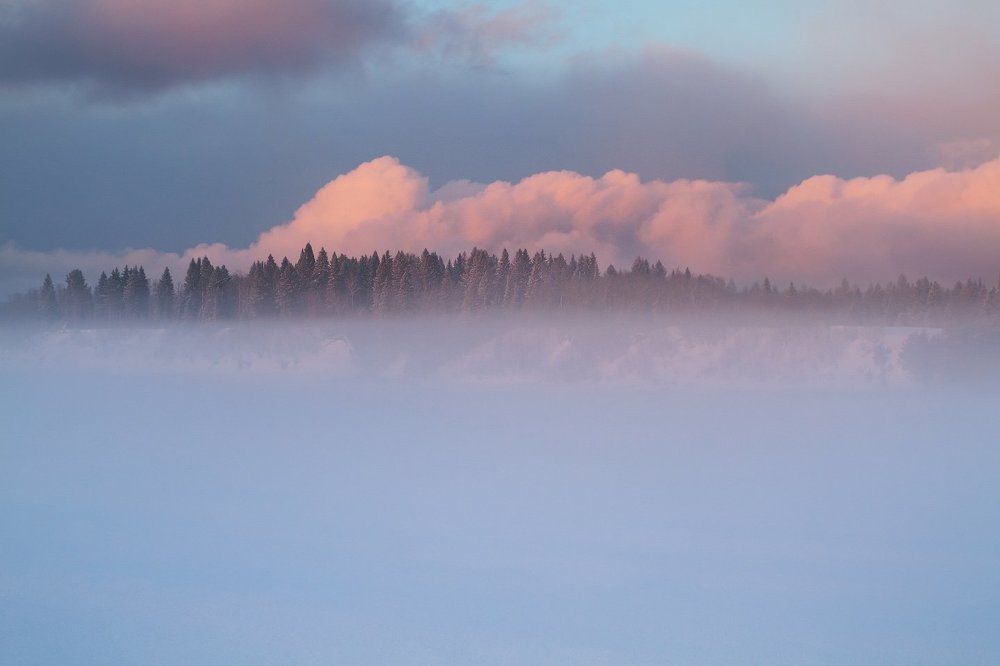 Утопая в морозном тумане