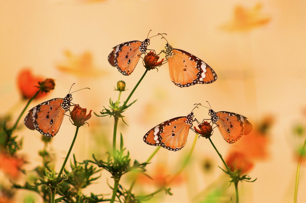 someone alone , very alone