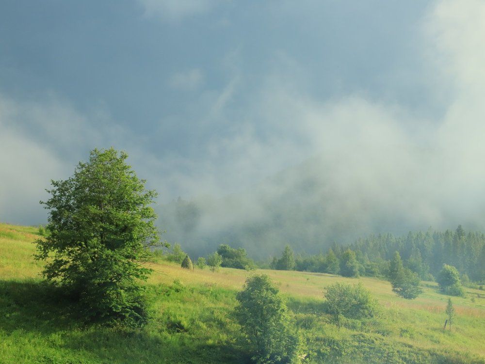 Утренний туман...1.