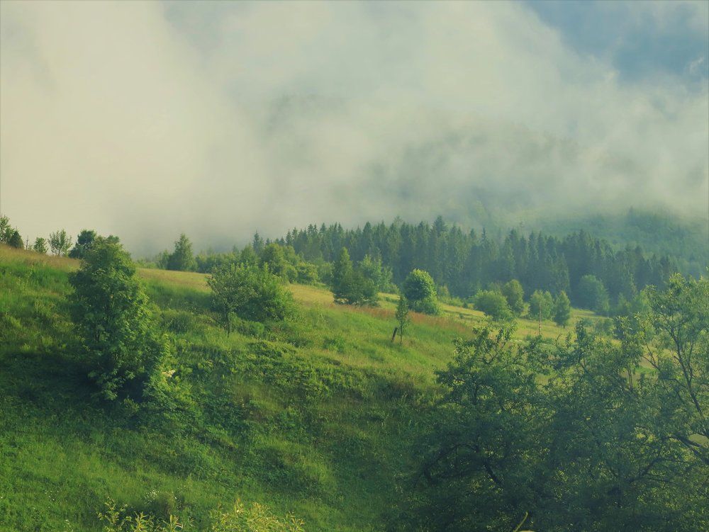 Утренний туман...2