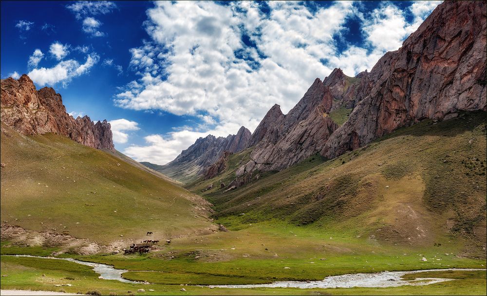 Перегон табуна.