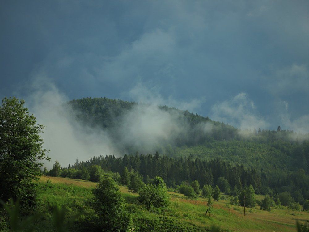 Утренний туман...3