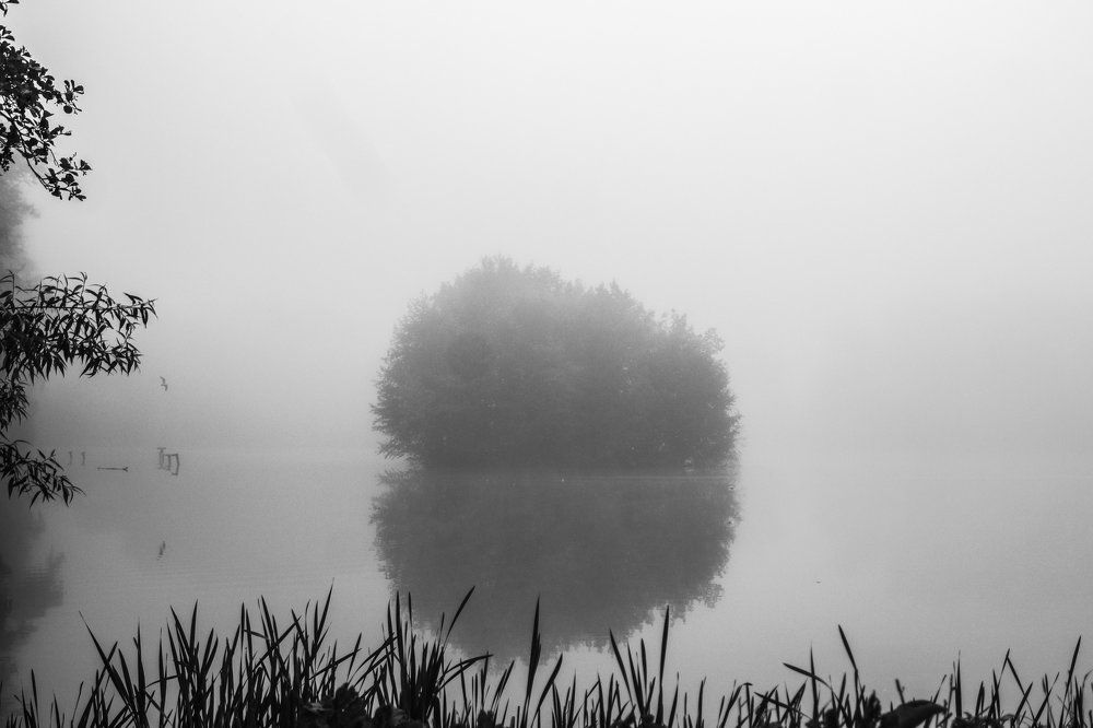 Остров в тумане