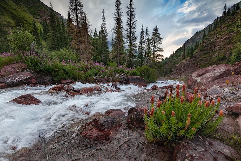 Вечер у реки
