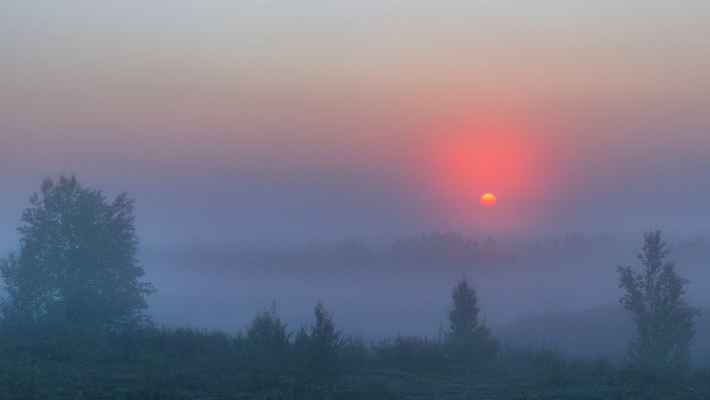 " в утреннем тумане "