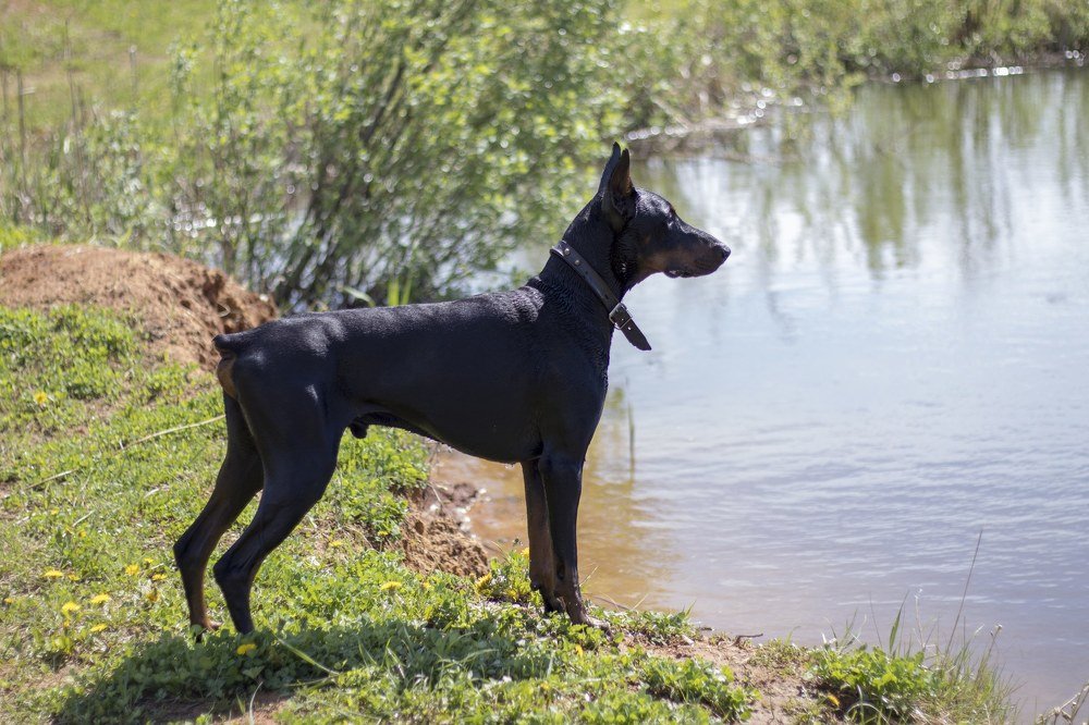 Photograph by Олег