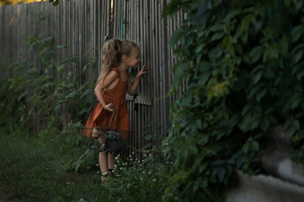 Я немножечко посмотрю