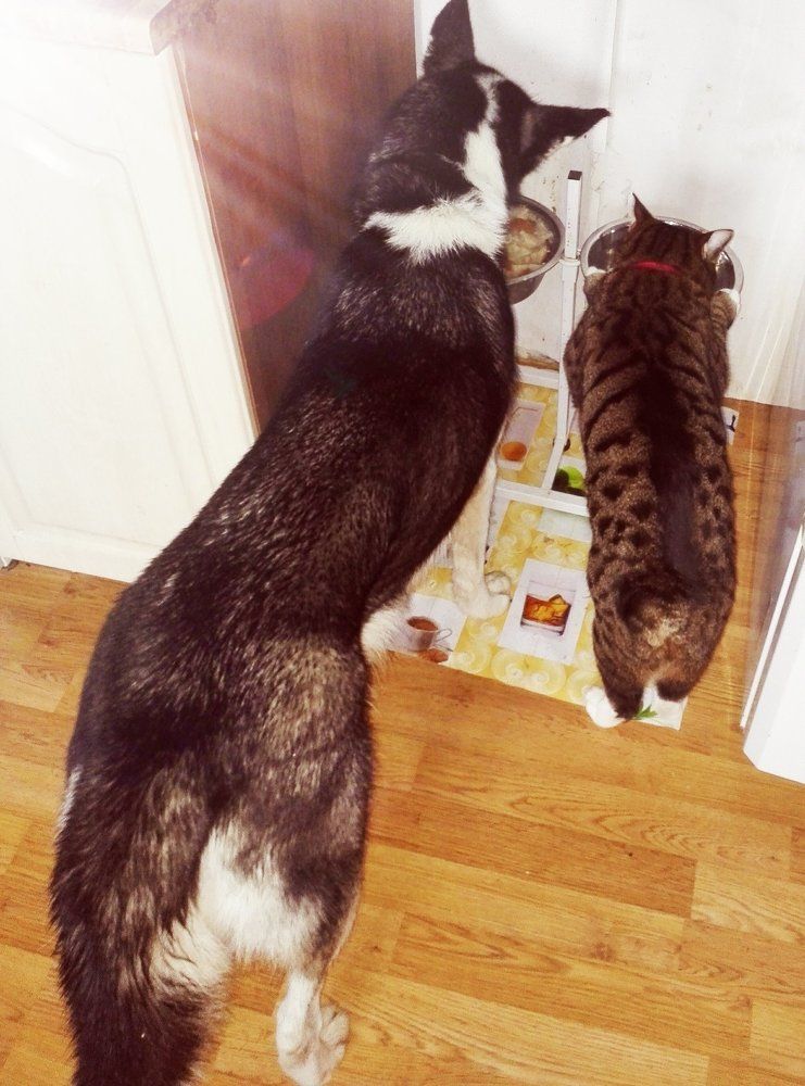 Photograph by Ирина