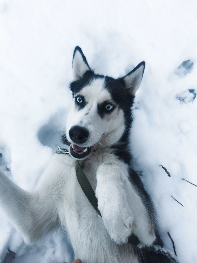 Photograph by Ирина