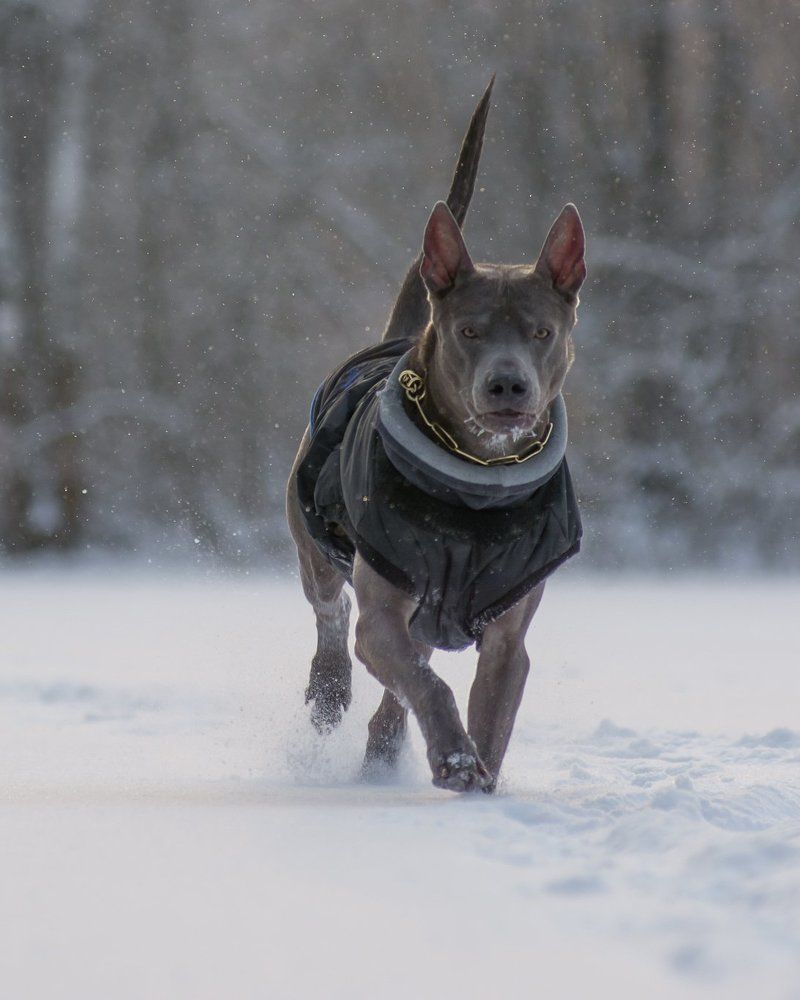 Photograph by Роман Фабричный