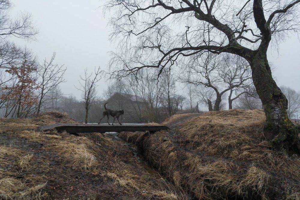 Photograph by Роман Фабричный