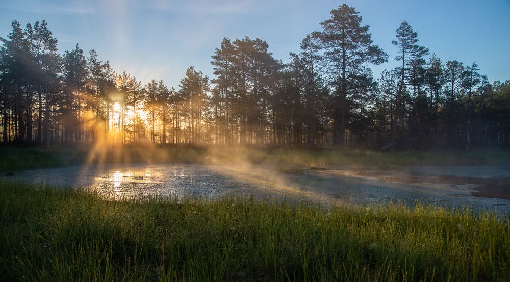 Foggy morning on lakeside