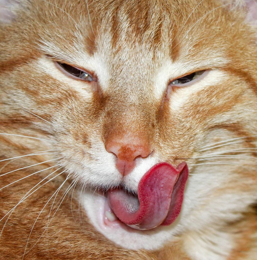 Ну, здравствуй ...