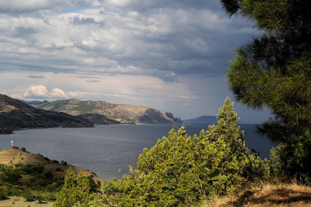 Разнообразие