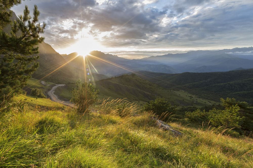 С добрым теплым утром..