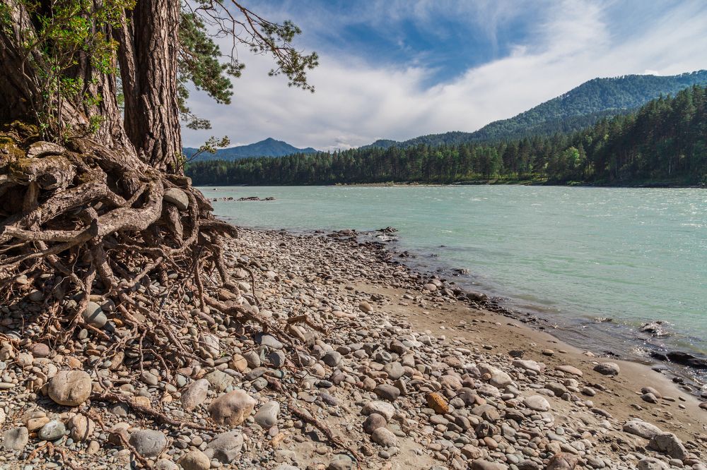 на Берегу р. КАТУНЬ