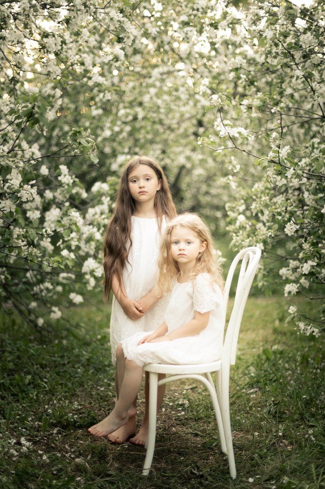 Яблоневый сад