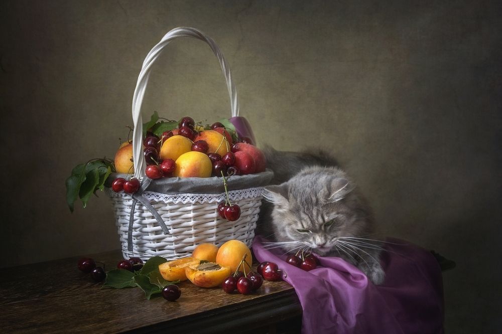 - Эх, попадешь к вам, научишься есть всякую гадость!