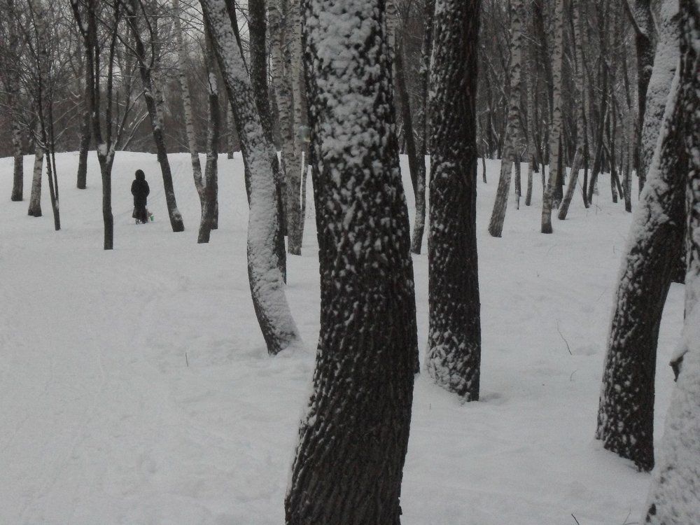 Среди деревьев