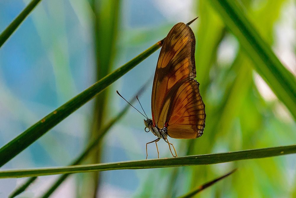 Остановись, мгновение....