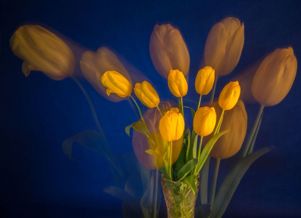 Весенняя фантазия