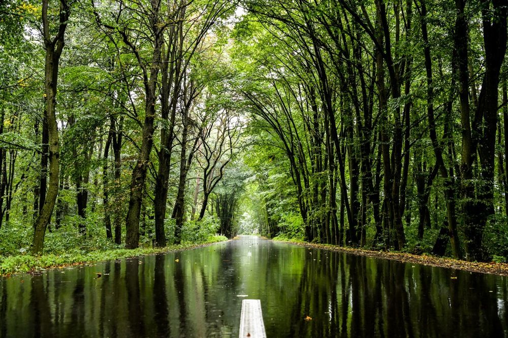 Уходящее лето