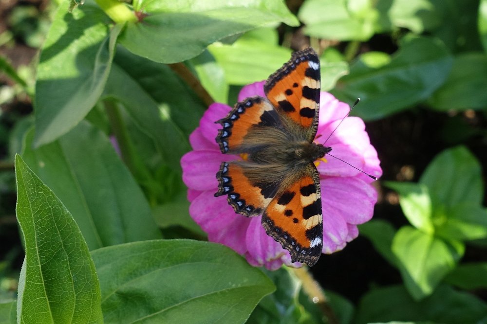Во всей красе