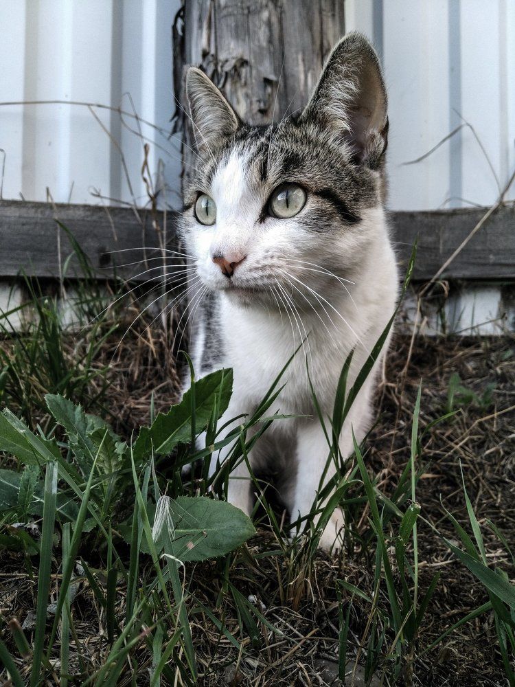 Photograph by Ольга Пономарева