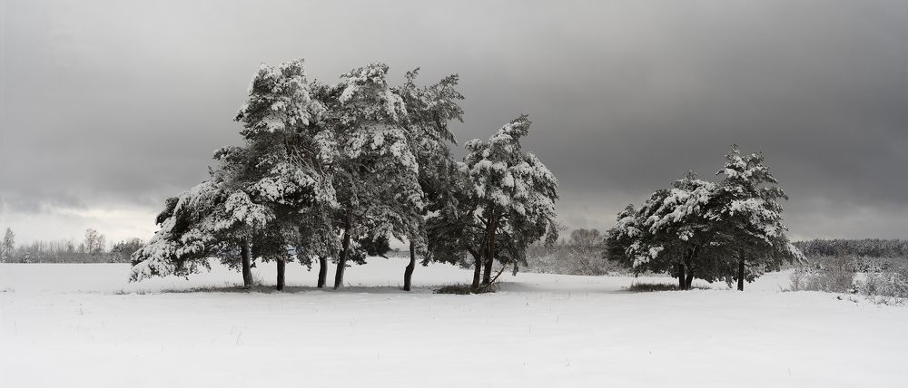 Winter Poetic