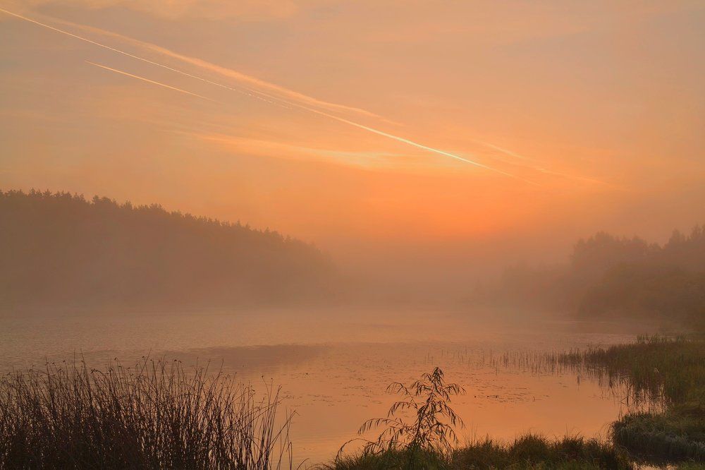 Photograph by Елена Боржковская