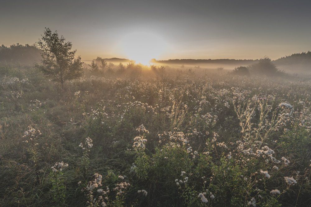 Photograph by Игорь Кляхин