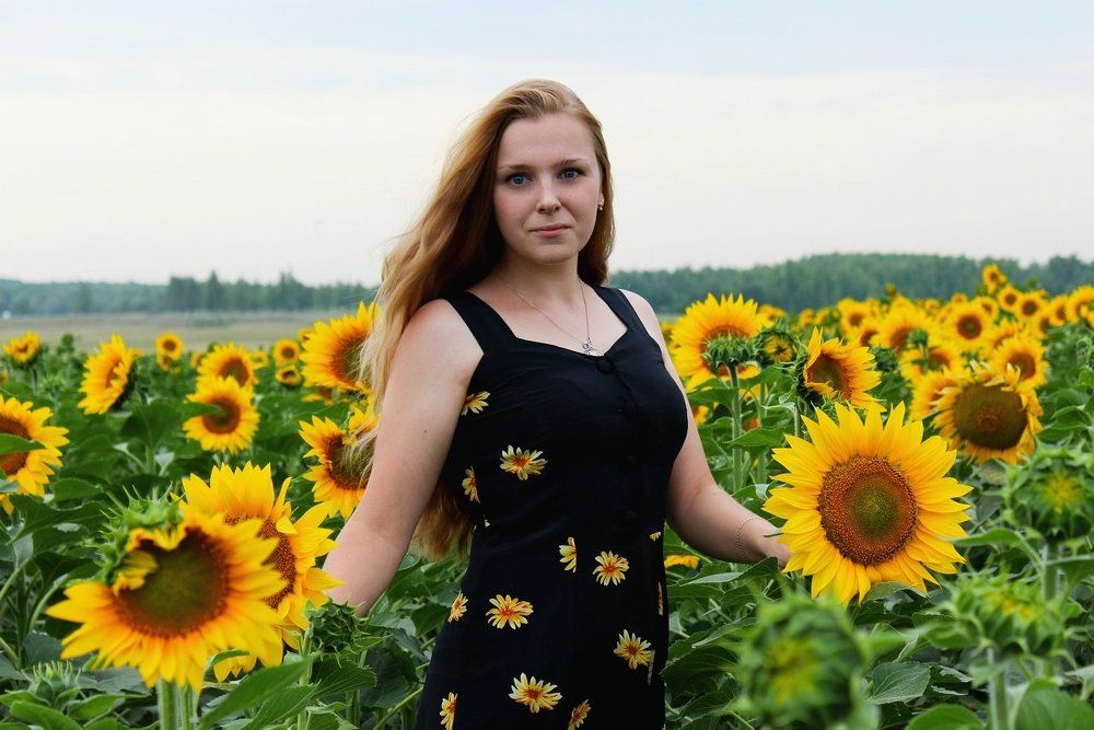 Без крайние подсолнухи