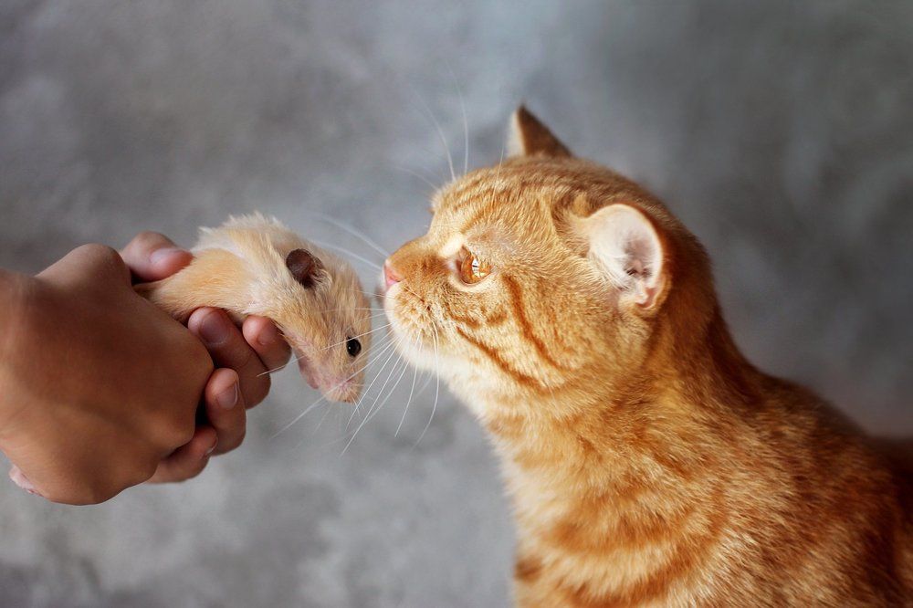 Photograph by Киркиш Ирина