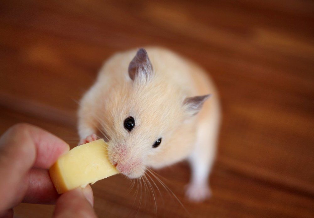 Photograph by Киркиш Ирина