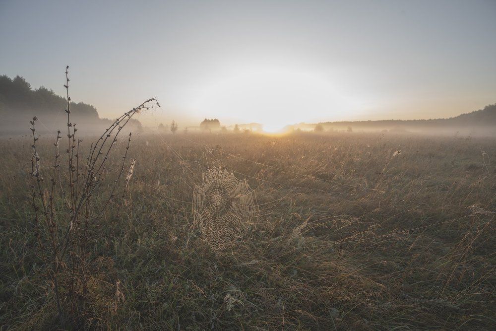 Photograph by Игорь Кляхин