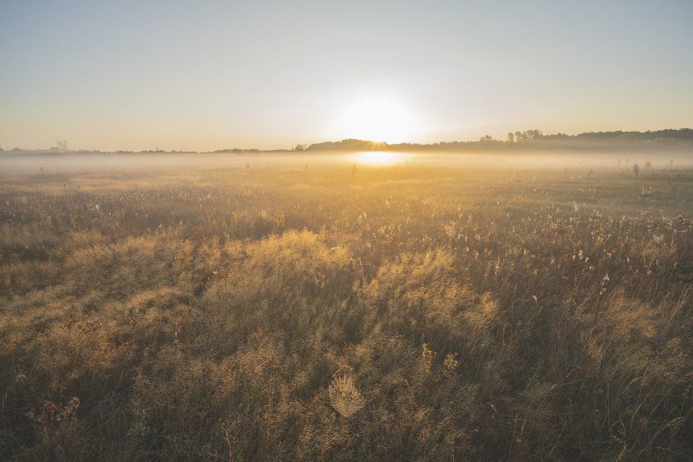 Photograph by Игорь Кляхин