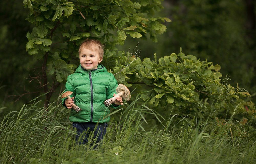 После дождика в лесу
