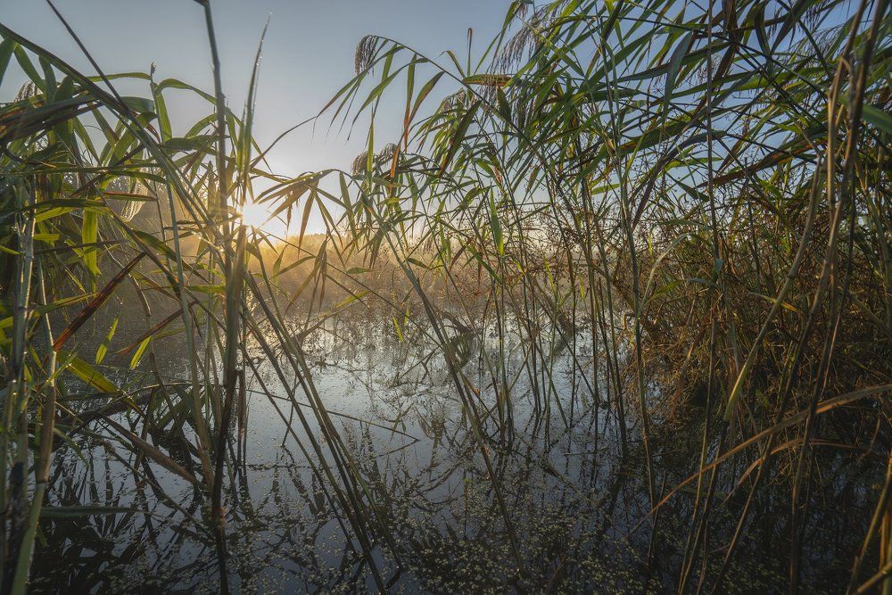 Photograph by Игорь Кляхин