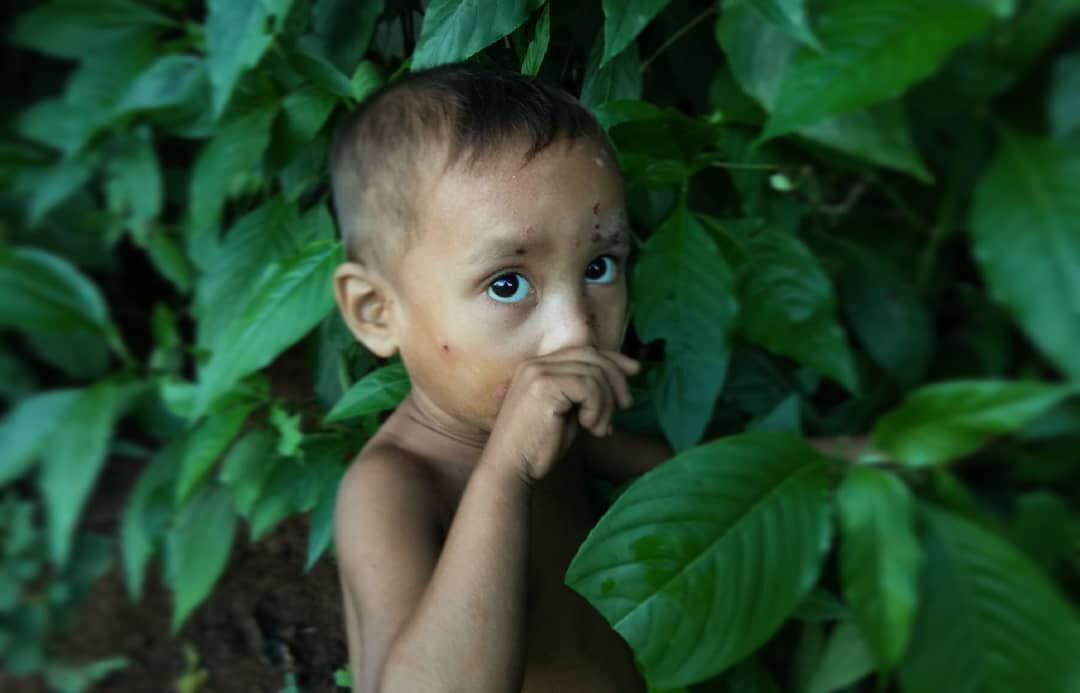 hidden beauty eyes of hidden face