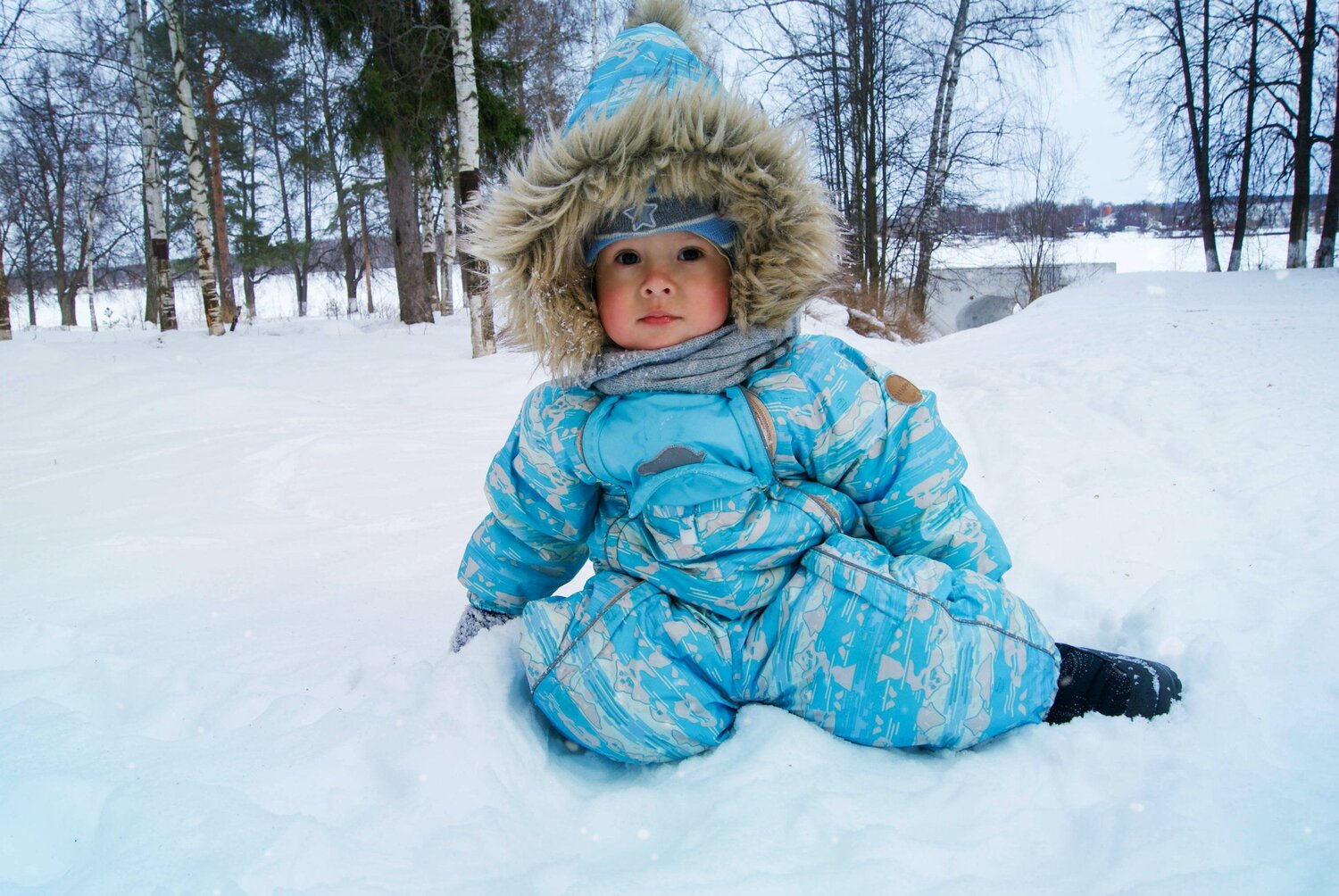 Photo #2495949