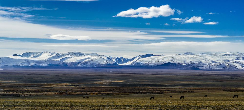 Северо-чуйский хребет