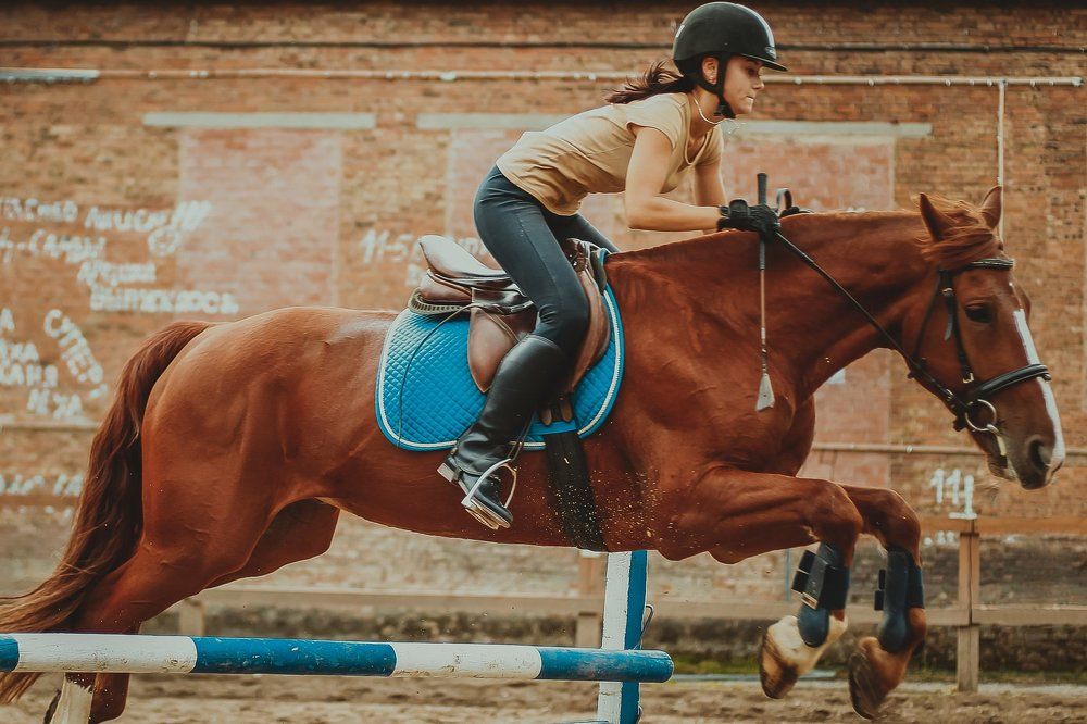 Фотография автора Оркина Ксения