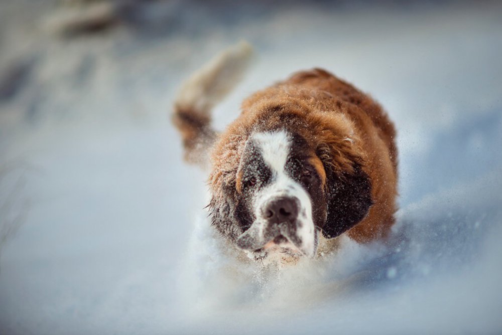 Photograph by Марина