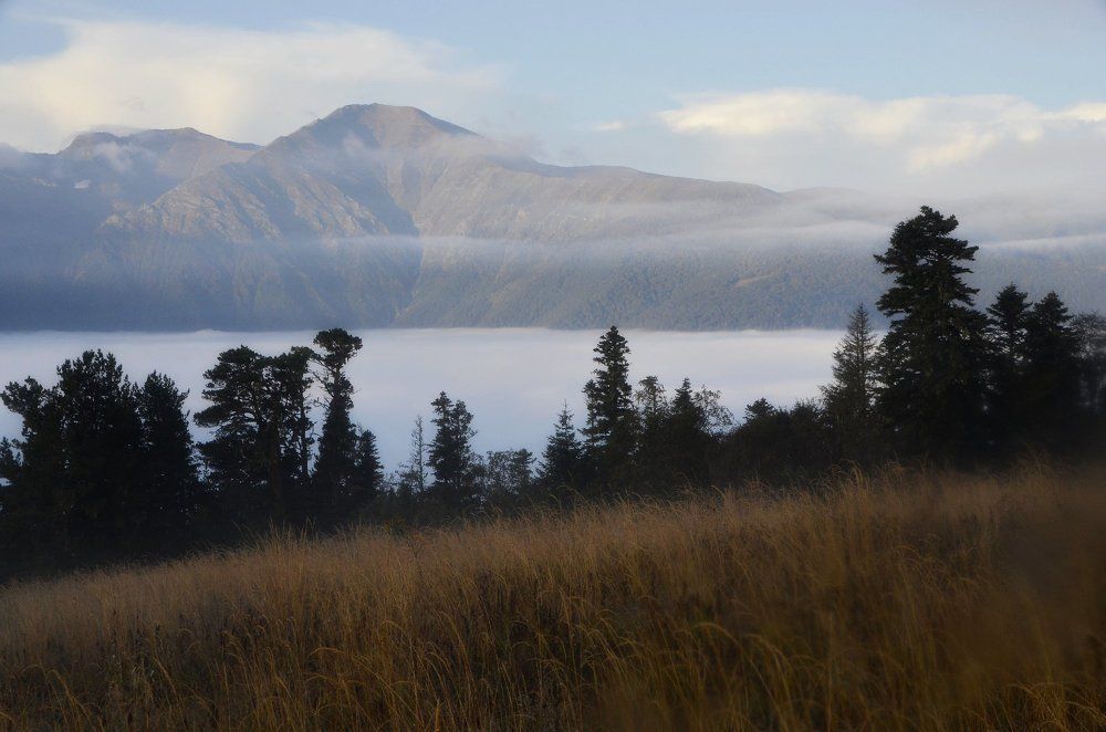 В двух шагах до тумана