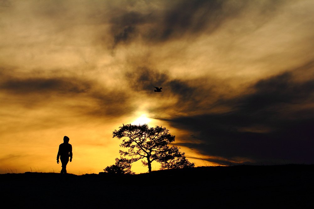 Сосуществование...