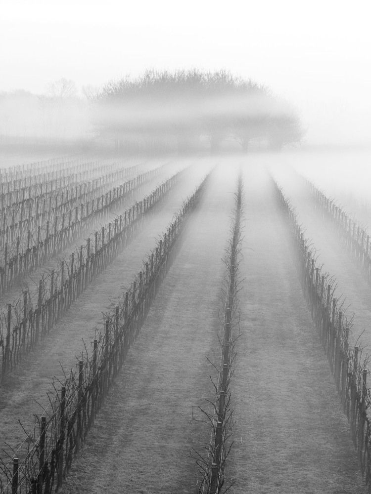 atmosfere del mattino